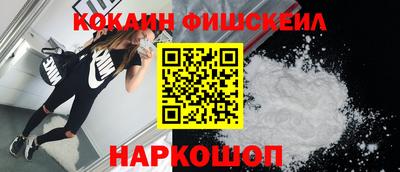 Альфа ПВП Новозыбков