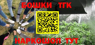 mix Новодвинск