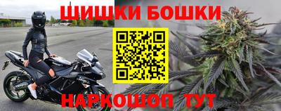 Альфа ПВП Новозыбков