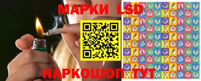 дмт Новокубанск