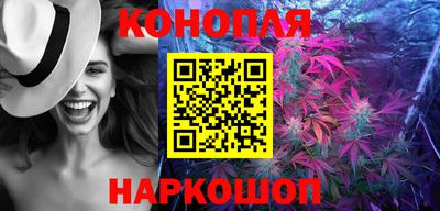 Альфа ПВП Новозыбков