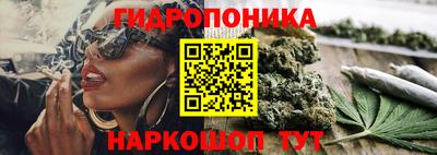 Альфа ПВП Новозыбков