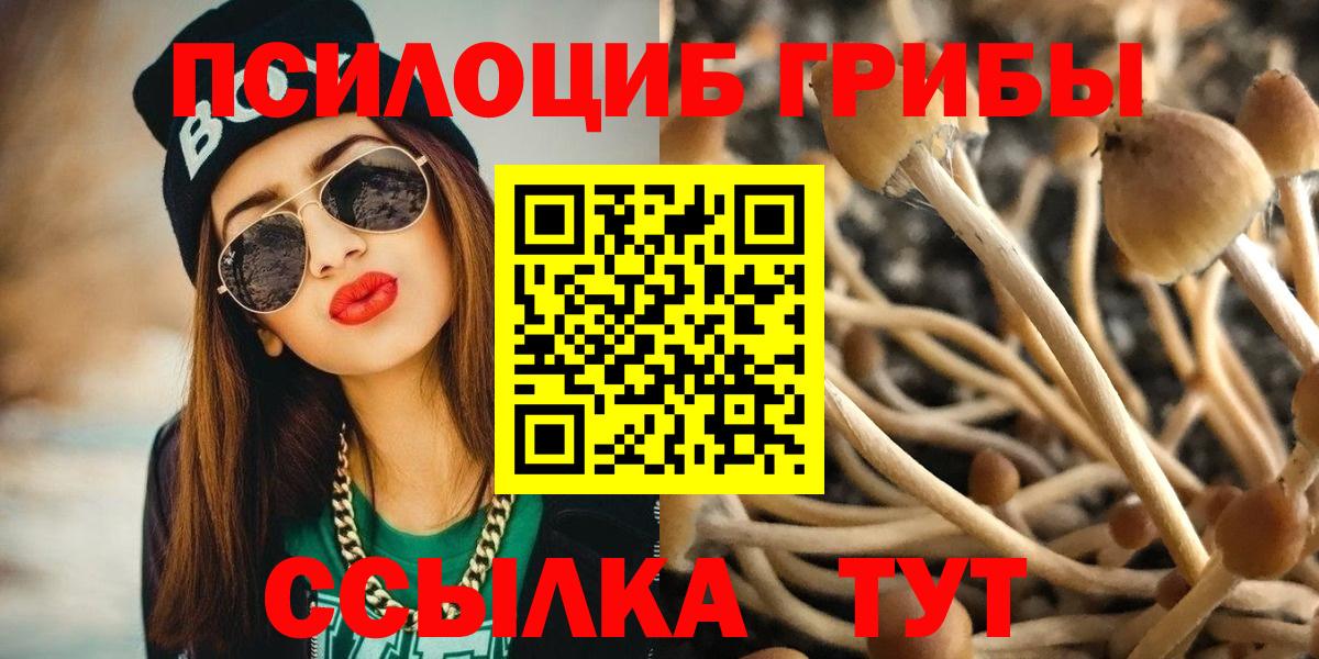 Псилоцибиновые грибы мицелий  Псилоцибиновые грибы Psilocybine cubensis  Вход с VPN  Советская Гавань 