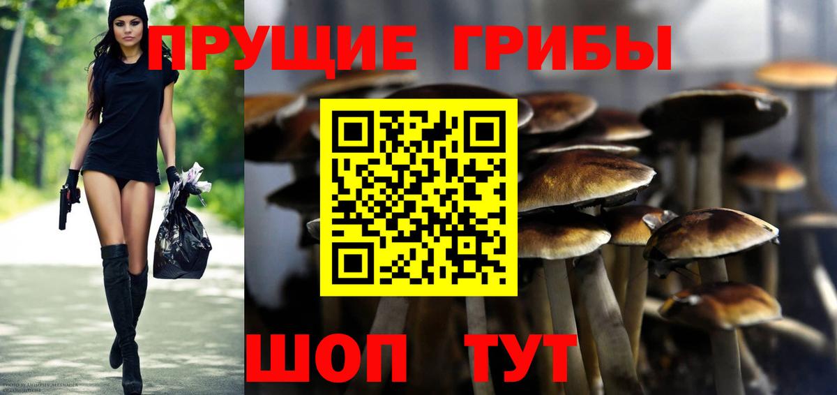 Псилоцибиновые грибы ЛСД Советская Гавань